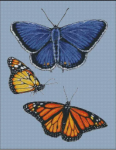 (image for) Eastern Blue & Monarch Butterfly